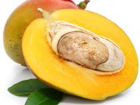 هسته این میوه را دور نریزید+خواص و کاربرد